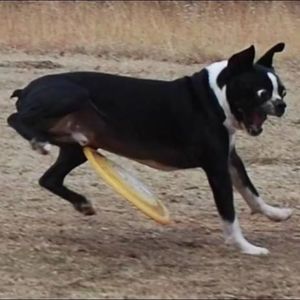 Meet your Posher, Karley